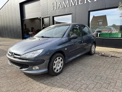 Peugeot 206, 2007 – kavel bij Hammertime