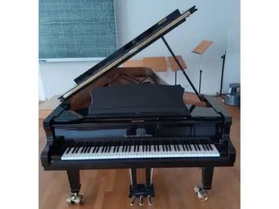 1 Flügel Steingräber & Söhne Modell E-272 – kavel bij Zoll-Auktion, Mannheim
