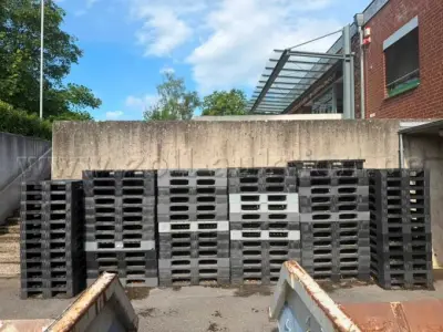 79 gebrauchte Kunstoffpaletten – kavel bij Zoll-Auktion, Pattensen