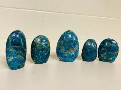 5x Apatiet vrije vorm staand, blauw – kavel bij Onlineveilingmeester, Gramsbergen