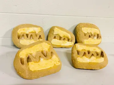 5x Mosasaurus fossielen – kavel bij Onlineveilingmeester, Gramsbergen
