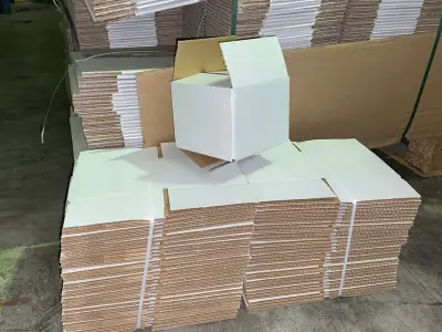 Ca. 600x Verzenddoosjes, wit, 13x12x10cm – kavel bij Onlineveilingmeester, Gramsbergen