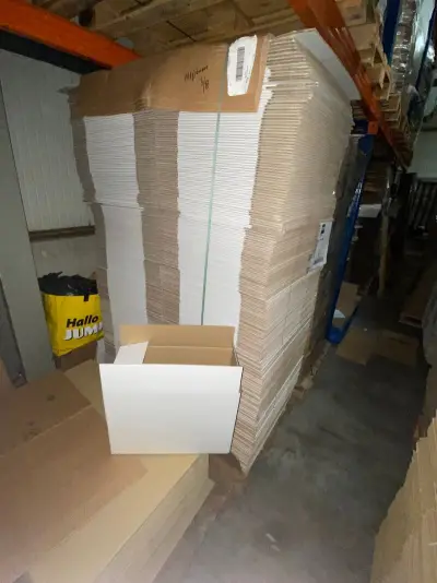 Ca. 220x Verzenddozen, dubbelgolf, wit, 48x23x35cm – kavel bij Onlineveilingmeester, Gramsbergen