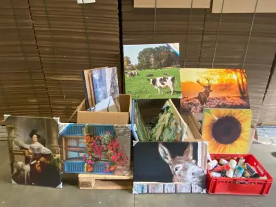 Partij decoratie schilderijen – kavel bij Onlineveilingmeester, Gramsbergen