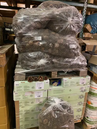 6x Dennenappels, zak a 10 kilo – kavel bij Onlineveilingmeester, Gramsbergen