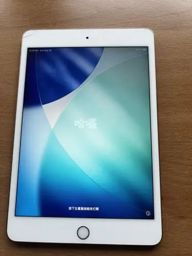 I Pad Mini 5th – kavel bij Openbare Verkopen, Zele