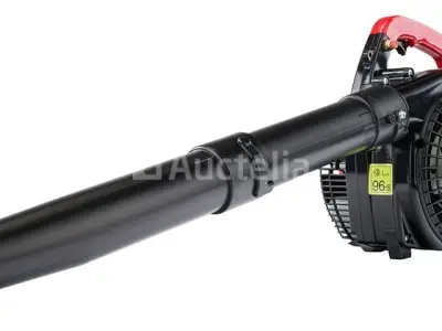 Benzinebladblazer RED TECHNIC – kavel bij Auctelia, Aye