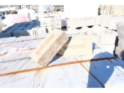 1200 Nelissen Bricks – kavel bij Auctelia, Paliseul
