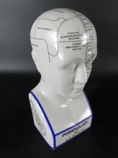 Keramisch hoofd Phrenologie model L.N. Fowler – kavel bij De Kringwinkel, Heverlee