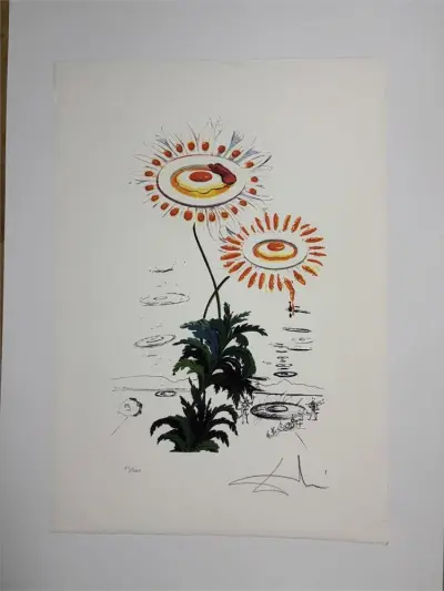Salvador Dali - Gelimiteerde Editie – kavel bij Hammertime