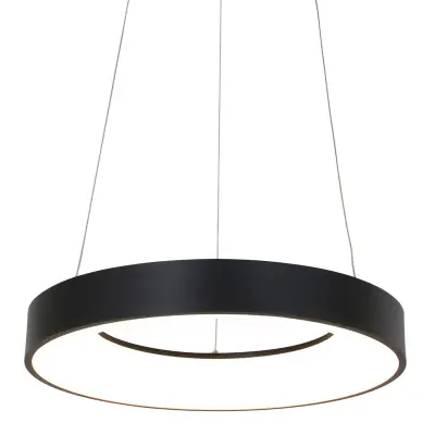 6x Hanglamp rond 48cm, Steinhauer, Ringlede 2695ZW, Zwart, 2027 – kavel bij Onlineveilingmeester, Heerenveen