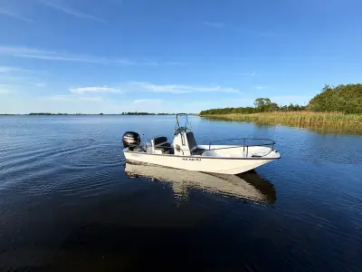 Boot met trailer, Boston Whaler, Montauk 17 Mercury 115 pk, 2017 – kavel bij Onlineveilingmeester, Heerenveen