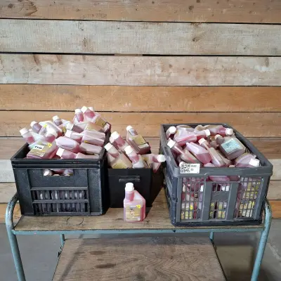 Castrol Power 1 2 takt olie partij, Castrol, Power 1, Wit – kavel bij Onlineveilingmeester, Heerenveen