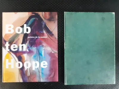 Boek: Duo van Bob Ten Hoope kunstboeken – kavel bij De Kringwinkel, Gent