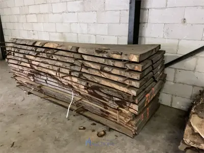Wegens faillissement ECO-DECO BV - Partij verzaagde boomstammen en houtbewerkingsmachines te Bonheid – veiling bij VH Auctions