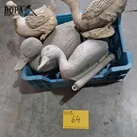 Eenden voor vijver en hoenders - 4 stuks – kavel bij BOPA Auctions, Aarsele