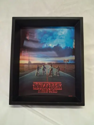 Kader Stranger Things 3D – kavel bij De Kringwinkel, Ieper