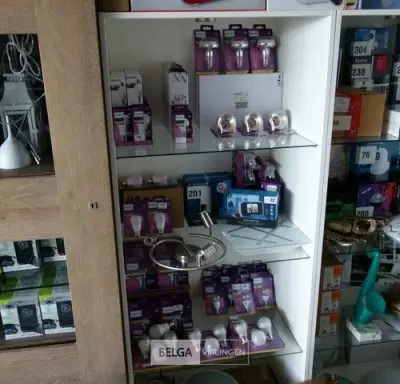 Philips Led bulb (100x) – kavel bij Belga Veilingen, Consumentengoederen I • Landen