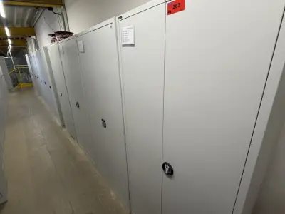 Posten Metal Cabinets überw. Delta-V – kavel bij NetBid, Radolfzell am Bodensee