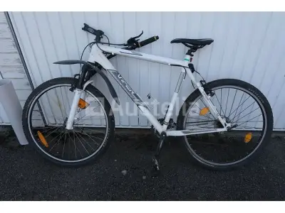 Viper Bike – kavel bij Auctelia, Flémalle