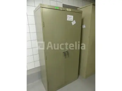 2 metalen kasten 2 deuren – kavel bij Auctelia, Saint-Gilles