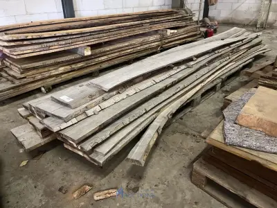 Plm 20 verzaagde boomstammen rode beuk – kavel bij VH Auctions