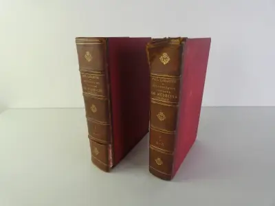 Oud medische encyclopedie - Dr. Paul Labarthe - 2 delen – kavel bij De Kringwinkel, Heverlee