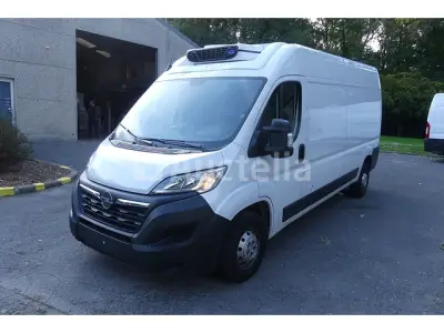 Opel Movano Koelwagen (2023-23,814 km) – kavel bij Auctelia, Courcelles