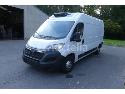 Opel Movano Koelwagen (2022-26,024 km) – kavel bij Auctelia, Courcelles