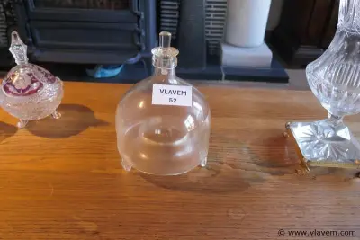 Wespenvanger in glas – kavel bij Vlavem