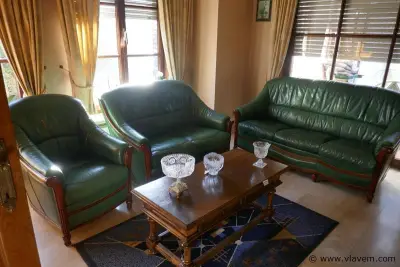 Salon in groen leder – kavel bij Vlavem