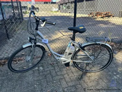 Elektrische fiets, batterij Li-Ion Battery, 36V, met sleutel, nummer 702-038, werking niet gekend – kavel bij Appelboom