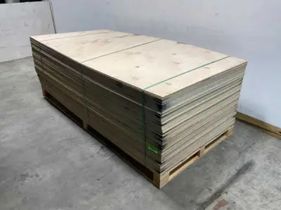 10x Multiplex-plaat 250x125x0,9cm – kavel bij XL Auctions