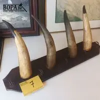 Kapstok met hoorns – kavel bij BOPA Auctions, Ieper
