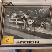 Foto Eddy Merckx 1972 in kader – kavel bij BOPA Auctions, Ieper