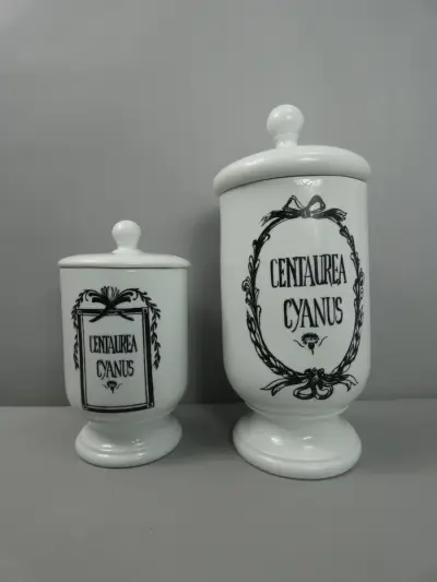 Set van 2 porseleinen apothekerspotten Centaurea Cyanus – kavel bij De Kringwinkel, Diest