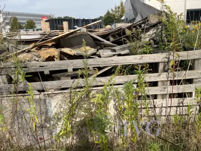 Resthofinhalt – kavel bij IVG, Emsdetten