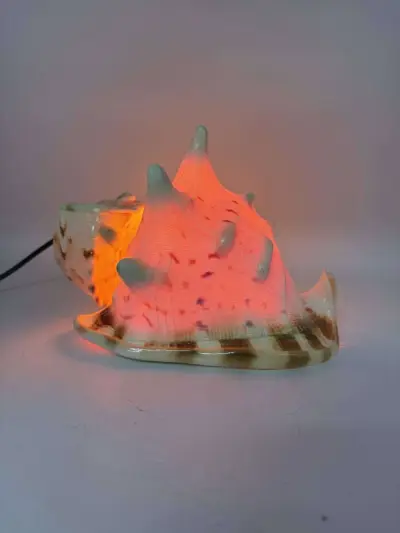 grote schelplamp – kavel bij De Kringwinkel, Gent