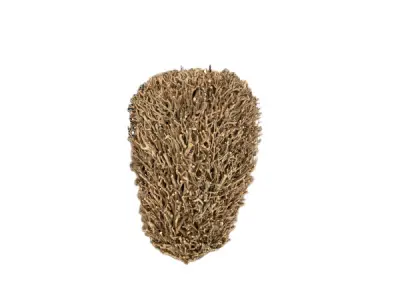 Takkenvaas 70 cm hoog – kavel bij XL Auctions