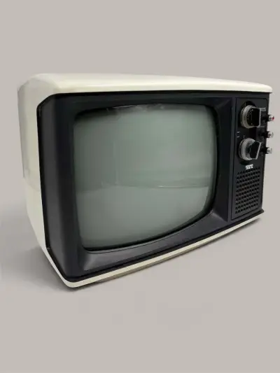 werkende SEC RP_205BC Draagbare zwart-wit televisie – kavel bij De Kringwinkel, Gent