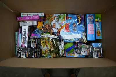 Mystery Speelgoed Box XXL met 100 items – kavel bij GSD Auctions, Zoeterwoude