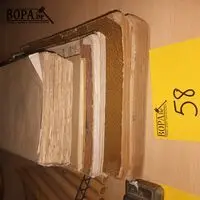 Antieke boeken over industrie. 5 stuks – kavel bij BOPA Auctions, Ieper