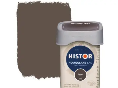 Ca. 24x Lak hoogglans, Histor, perfect finish, cacao, 250 ml – kavel bij Onlineveilingmeester