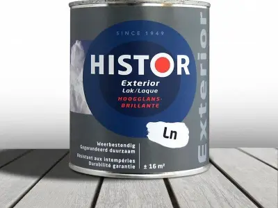9x Lak hoogglans 500 ml, Histor, exterior, zx – kavel bij Onlineveilingmeester