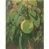 Jacobus van Looy – Groene appel, gesigneerd linksonder, olieverf op paneel, 41 x 32 cm – kavel bij Venduhuis De Eland