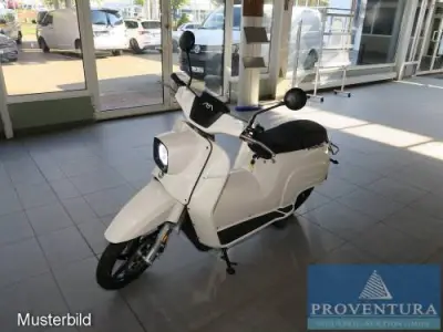 Elektro-Roller SCHWALBE L1e – kavel bij Proventura, Mühlhausen