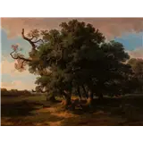 Alexandre Calame(Vevey 1810 - Menton 1864)A wooded landscape with resting figureSigned lower rightOil on canvas, 37.5 x 49.5 cmProvenance:Private c… – kavel bij AAG Arts & Antiques
