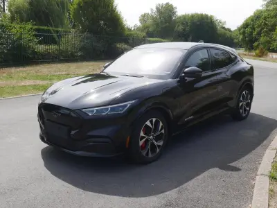 Ford Mustang Mach-E, électricité – kavel bij Trans Executive