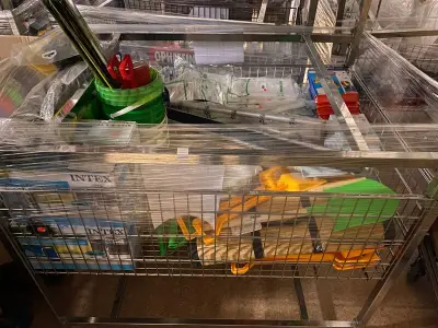 Ca. 216x Buitenspeelgoed en campingartikelen, Fisher-Price, Bo-camp, Intex Etc – kavel bij Onlineveilingmeester, Dokkum