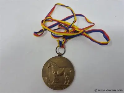 Medailles/Munten/ – kavel bij Vlavem